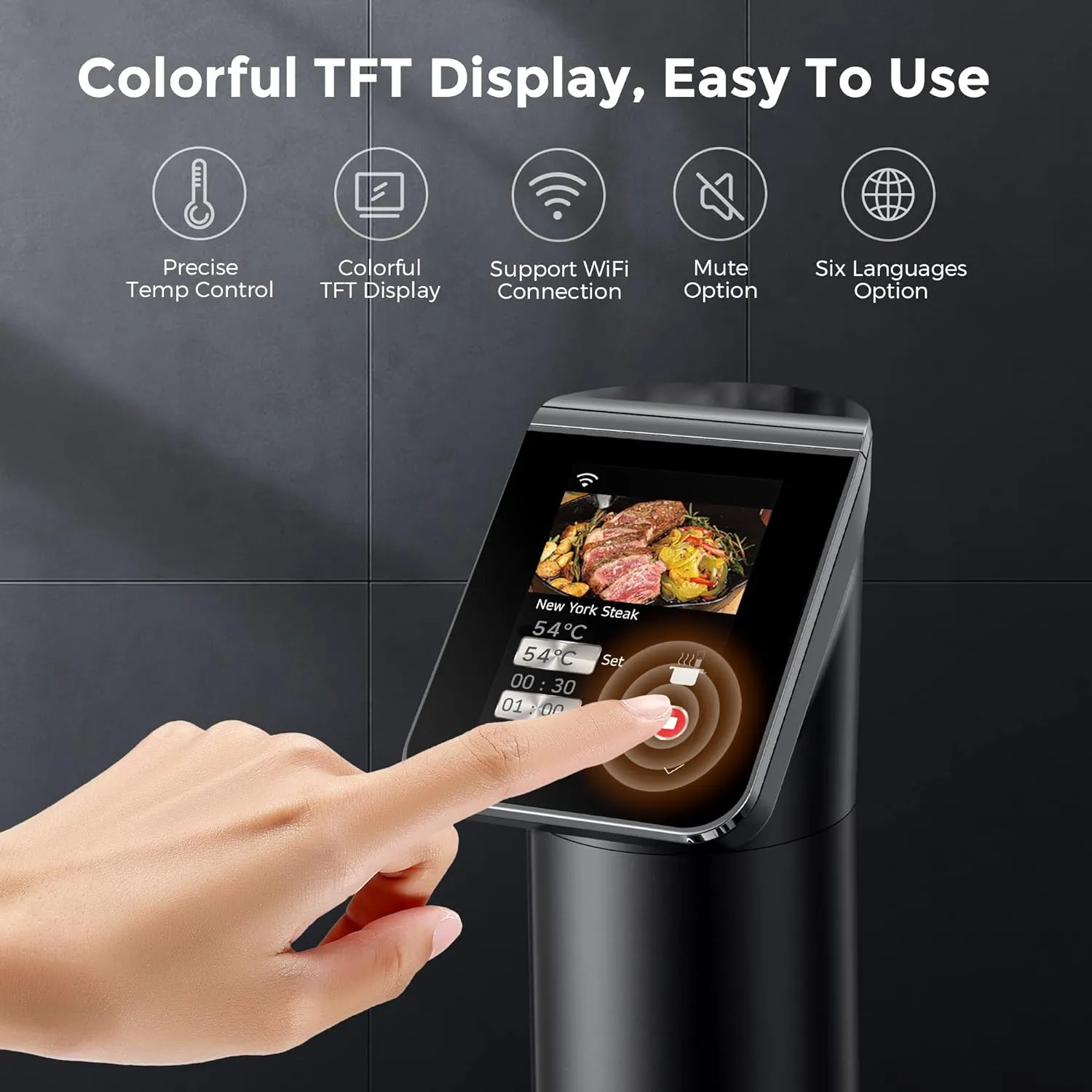 KitchenBoss G330 Sous Vide Stick